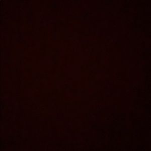 Meet your Posher, Lina